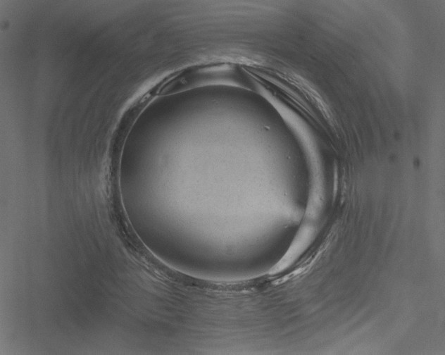 X0000051890388200506241354