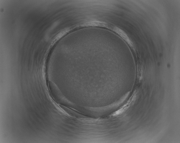 X0000051890389200506241354