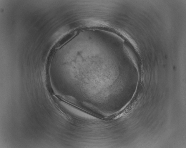 X0000051890391200506241354