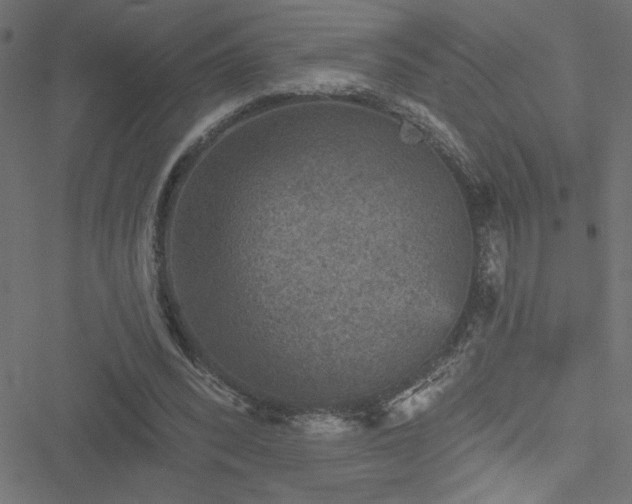 X0000051890392200506241354