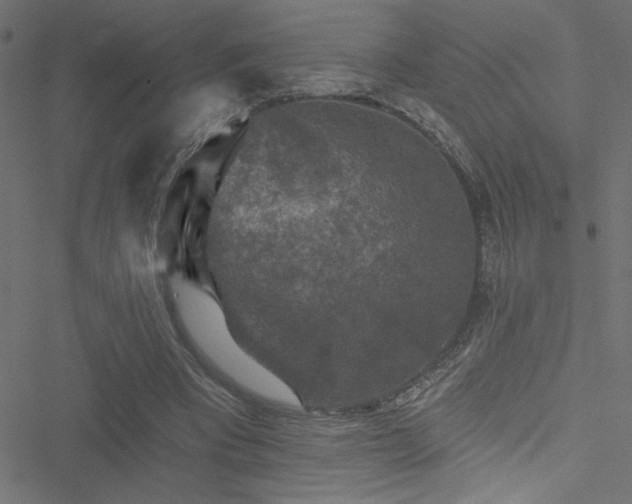 X0000051890393200506241354