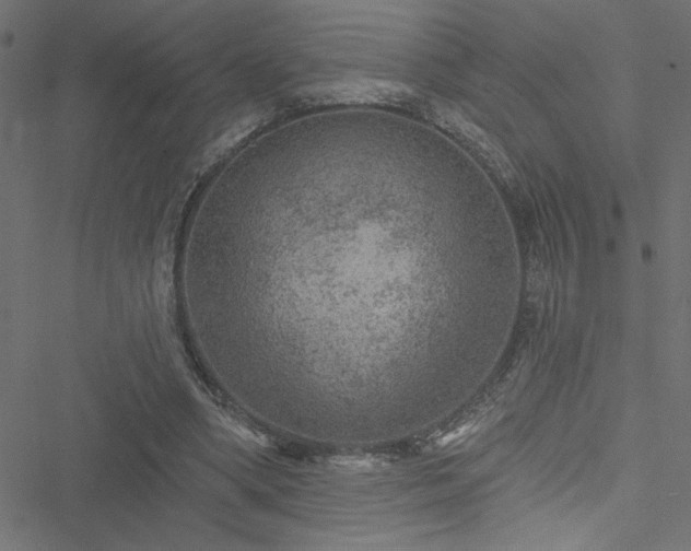 X0000051890394200506241354