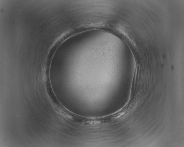 X0000051890395200506241354