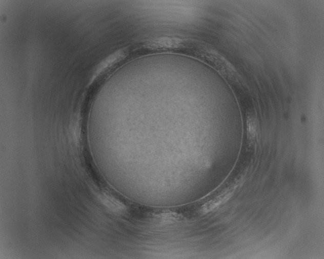 X0000051890396200506241354