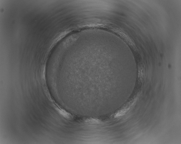 X0000051890397200506241354