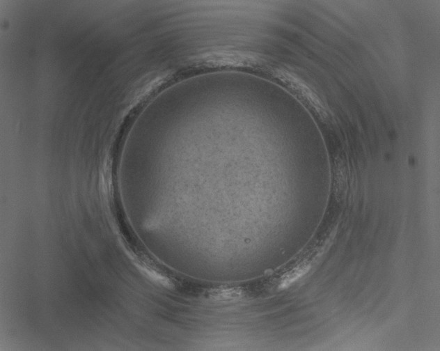 X0000051890398200506241354