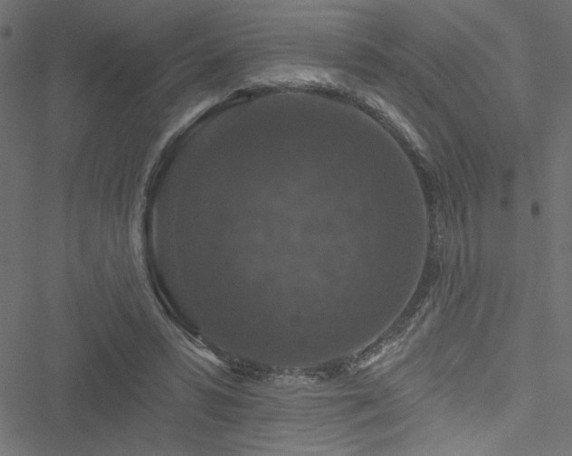 X0000051890399200506241354