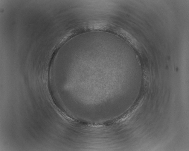 X0000051890401200506241354