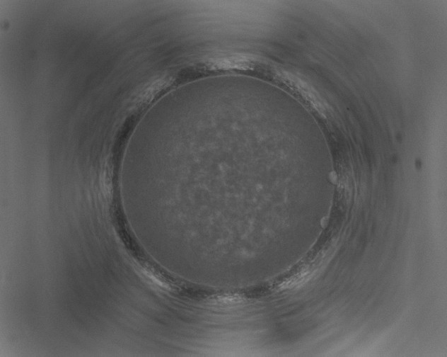 X0000051890402200506241354