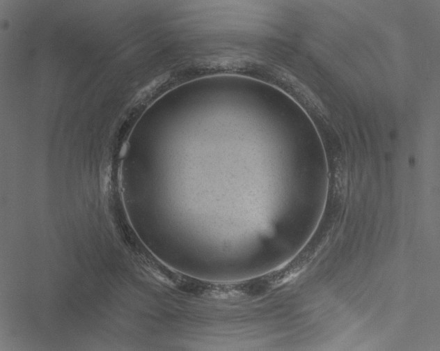 X0000051890403200506241354