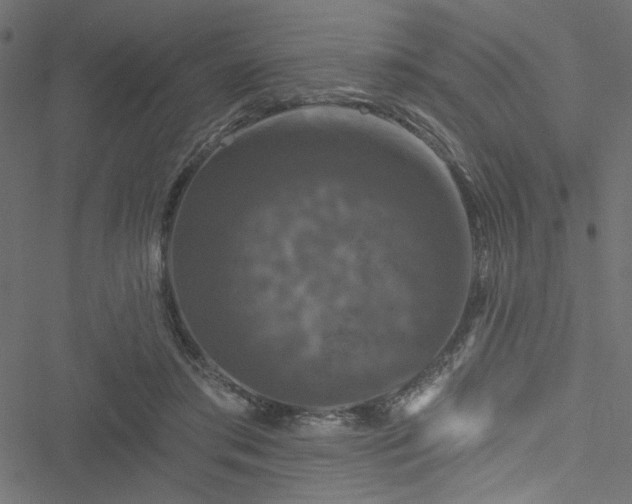 X0000051890405200506241354