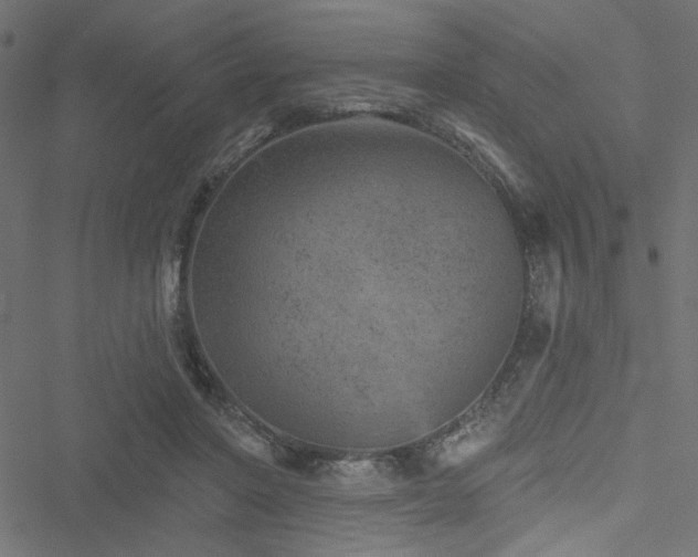 X0000051890406200506241354