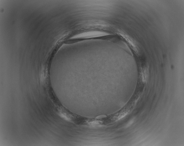 X0000051890407200506241354