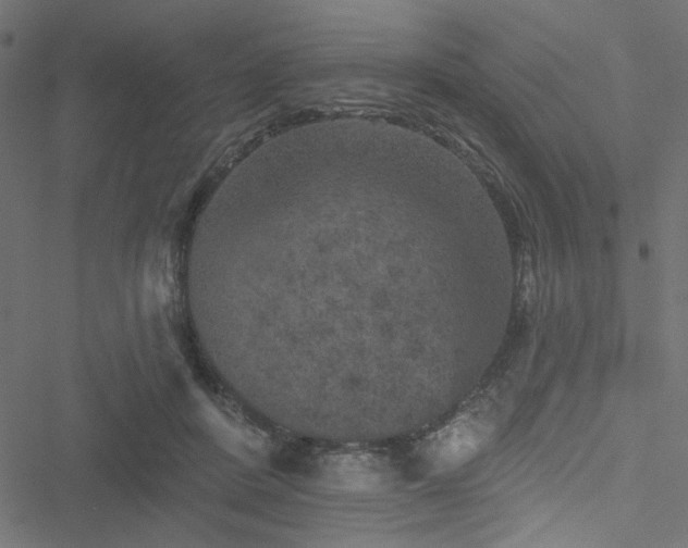 X0000051890408200506241354