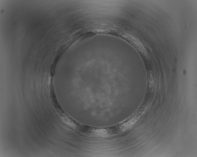 X0000051890409200506241354