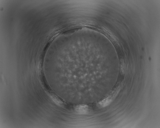 X0000051890410200506241354