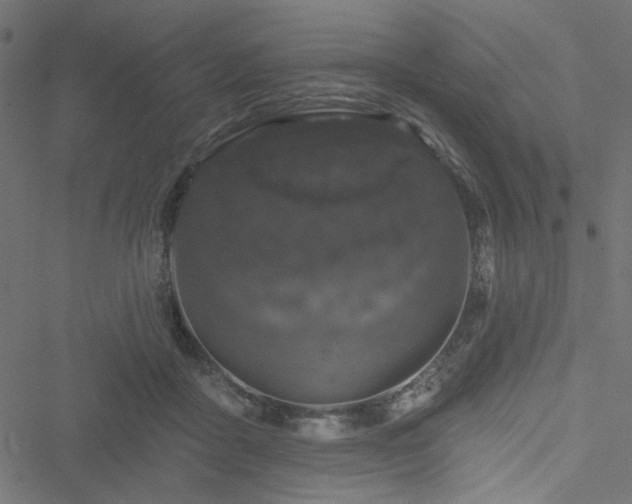 X0000051890411200506241354