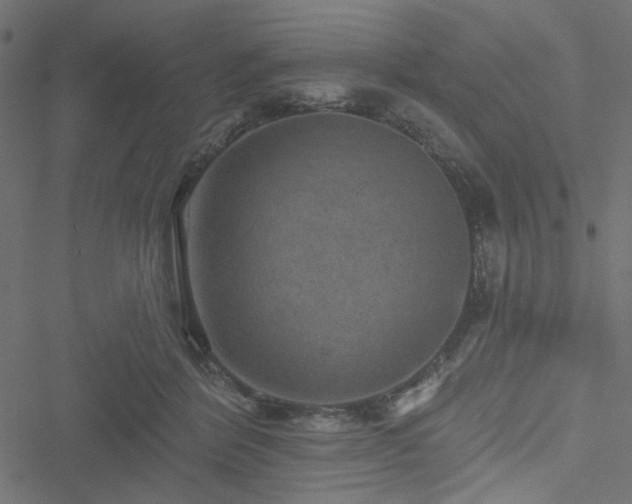 X0000051890412200506241354