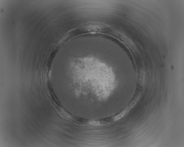 X0000051890413200506241354