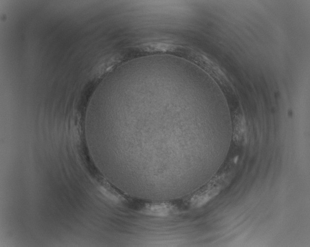 X0000051890414200506241354