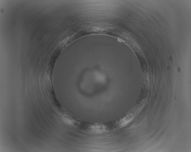 X0000051890415200506241354