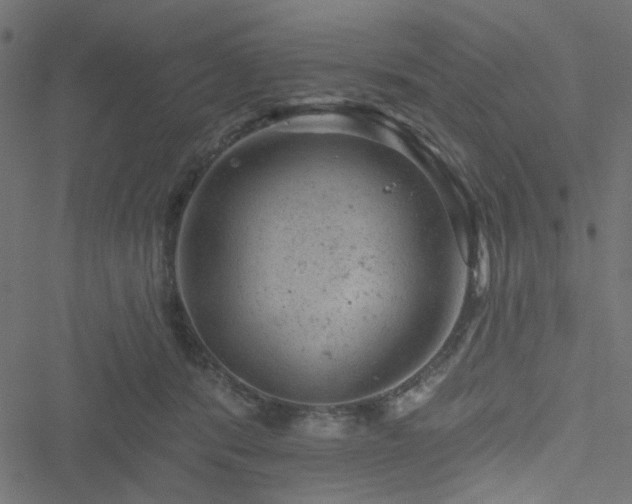 X0000051890416200506241354