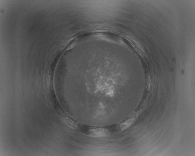 X0000051890417200506241354