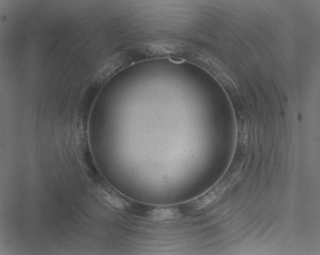 X0000051890418200506241354