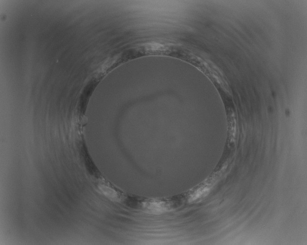 X0000051890419200506241354