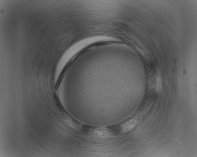 X0000051890420200506241354