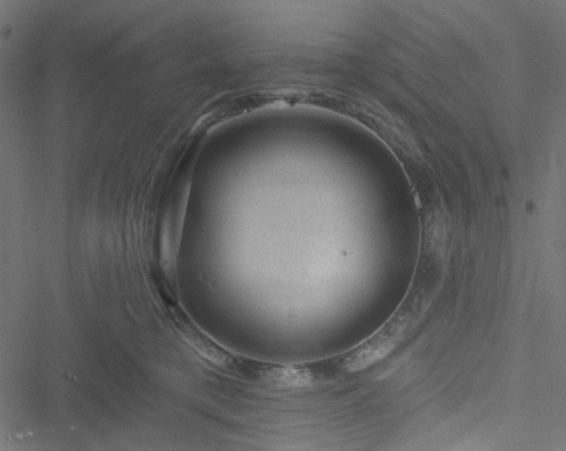 X0000051890421200506241354