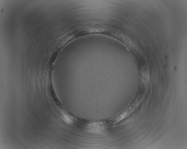 X0000051890422200506241354