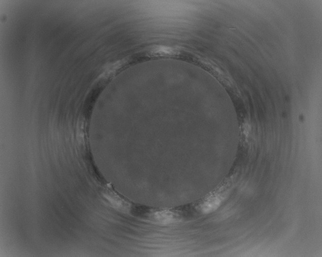 X0000051890423200506241354