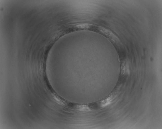 X0000051890424200506241354