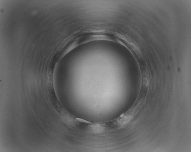 X0000051890425200506241354