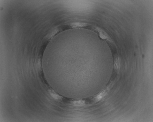 X0000051890426200506241354