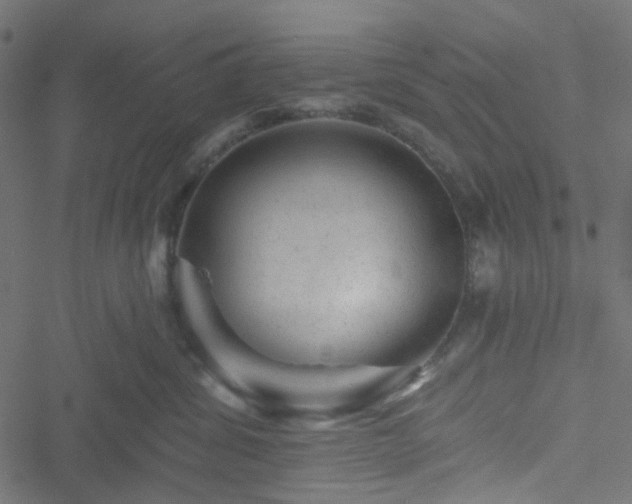 X0000051890428200506241354