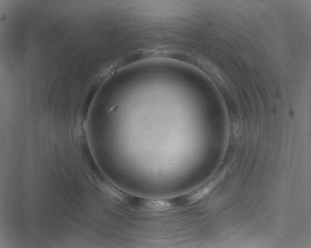 X0000051890429200506241354