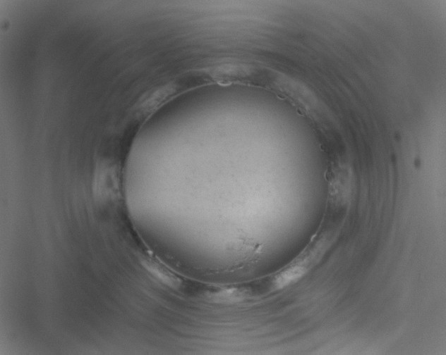 X0000051890430200506241354