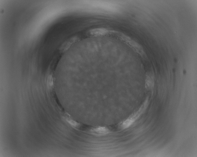 X0000051890431200506241354