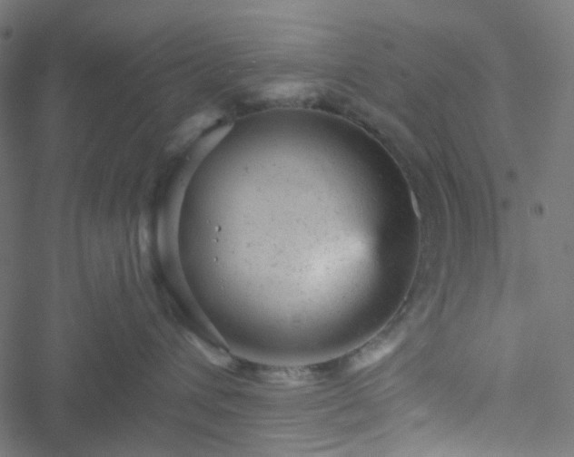 X0000051890432200506241354