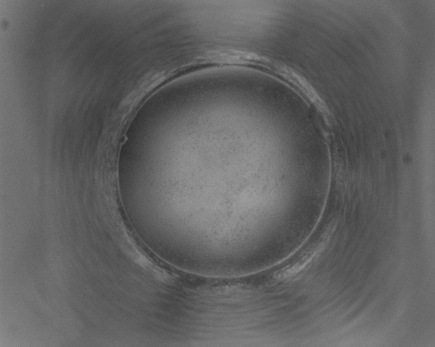 X0000051890433200506241353