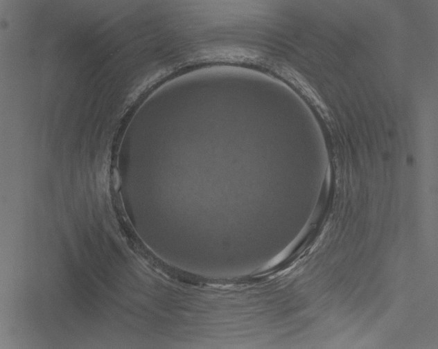 X0000051890434200506241353