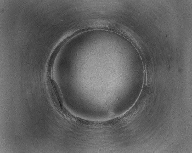 X0000051890435200506241353