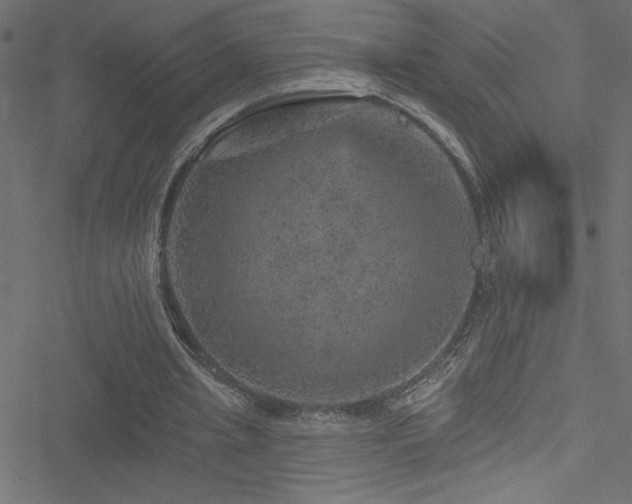 X0000051890437200506241353