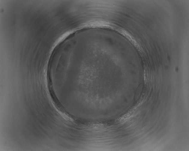 X0000051890438200506241353