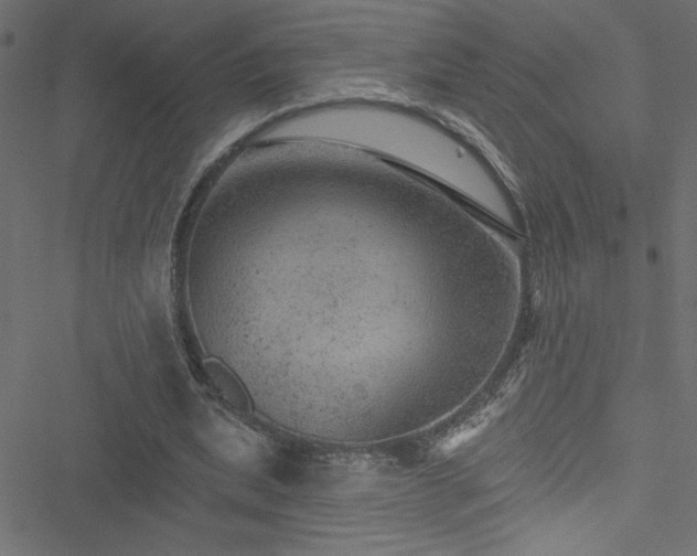 X0000051890439200506241353