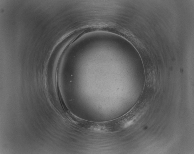 X0000051890440200506241353