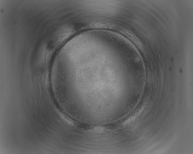 X0000051890441200506241353