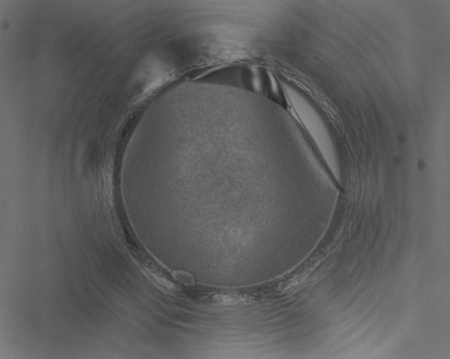 X0000051890442200506241353